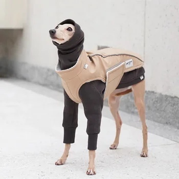 Explore Series Роскошная одежда для собак Whipbit Итальянская борзая Дизайн одежды Одежда для домашних животных Аксессуары для собак ropa para perros