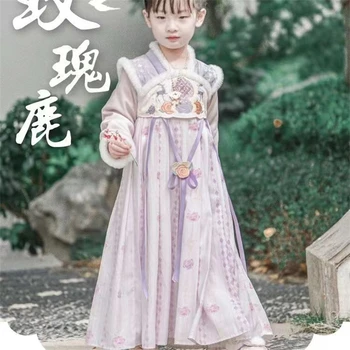 Девочки Выступление Вышивка Зима Толстая хлопковая подкладка Ханьфу Фея Принцесса Детское платье Китайская одежда