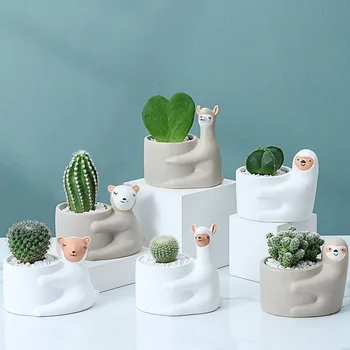 корейский мультфильм животное керамический мини суккулентный цветочный горшок контейнер зеленый растение горшок настольный орнамент домашний творческий садоводство