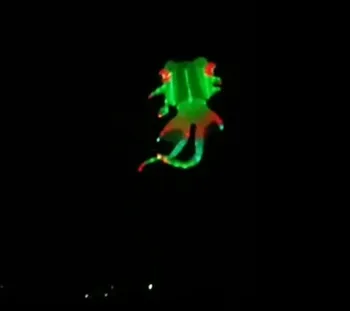 однолинейные воздушные змеи силовой ветровой мешок vlieger кайт полет Ночной свет воздушный змей светодиодные воздушные змеи для взрослых ветрозащитный силовой кайт koinobori ripstop